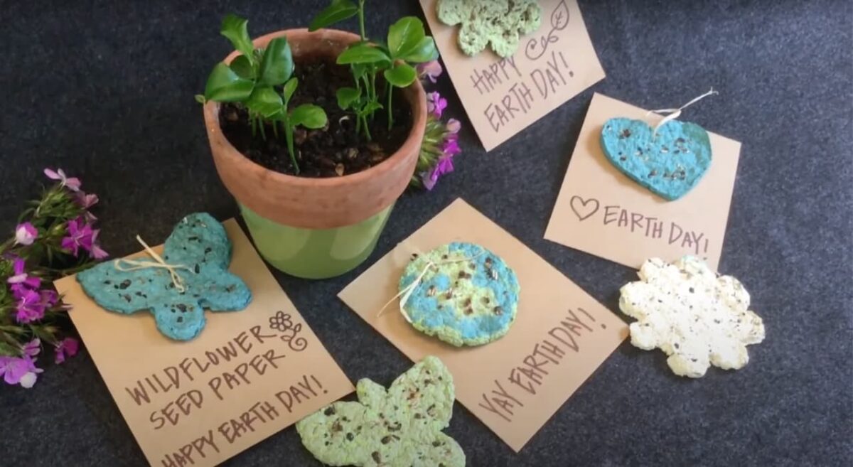 Seed paper earth day project for kids