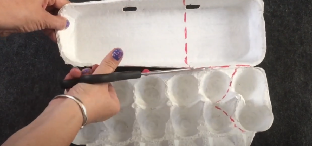 Cutting an egg carton for a Thanksgiving turkey craft. 