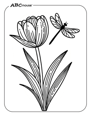 Free printable tulip coloring page from ABCmouse.com. 