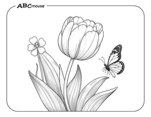 Free printable tulip coloring page from ABCmouse.com. 