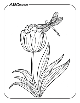 Free printable tulip with dragon fly coloring page from ABCmouse.com. 