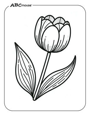 Free printable tulip coloring page from ABCmouse.com. 