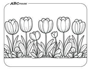 Free printable tulip coloring page from ABCmouse.com. 