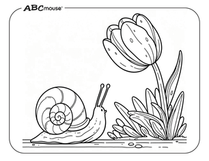 Free printable tulip coloring page from ABCmouse.com. 