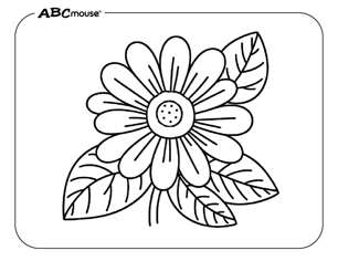 Free printable daisy flower pictures from ABCmouse.com. 