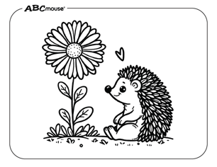 Free printable daisy flower pictures from ABCmouse.com. 