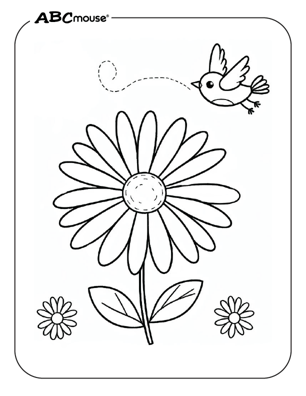 Free printable daisy flower pictures from ABCmouse.com. 