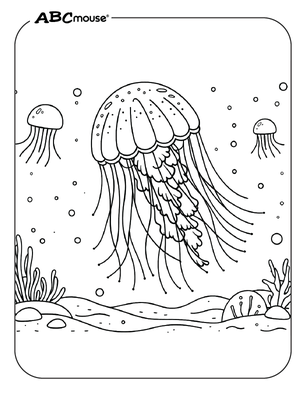 Free Printable Jellyfish Coloring Page from ABCmouse.com.