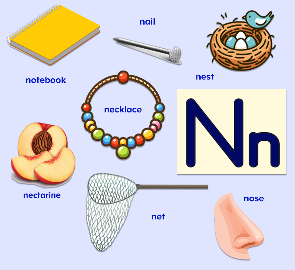 Words that start with the letter N words for kids. Nose, notebook, nest, nail, necklace, nectarine, net. 