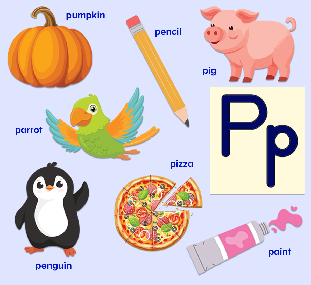 Words that start with the letter p colorful poster for kids featuring, pumpkin, pig, pencil, parrot, penguin, pizza, and paint. 