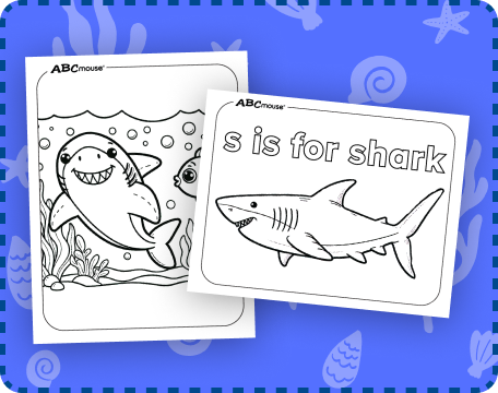 Free printable shark coloring pages from ABCmouse.com.  
