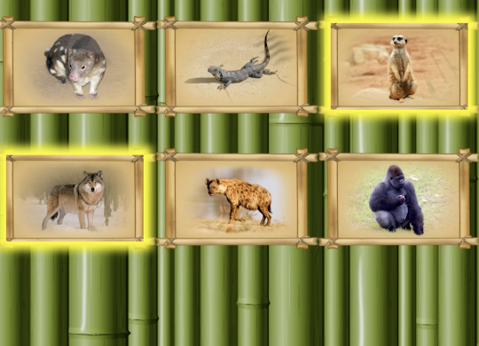 Screen shot of ABCmouse alphabet sounds at the zoo game from ABCmouse.com.