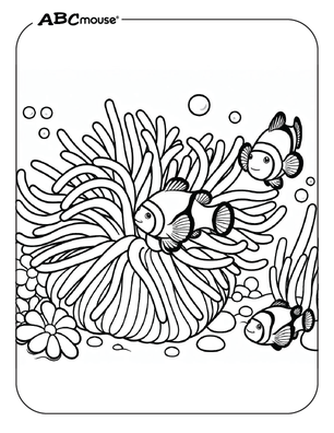 Clownfish free fish coloring page from ABCmouse.com. 