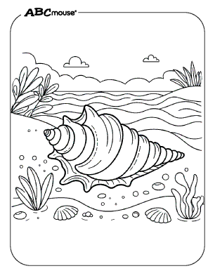 Free printable sea shell coloring page from ABCmouse.com. 