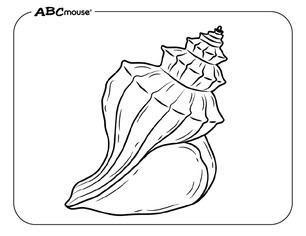 Free printable sea shell coloring page from ABCmouse.com. 