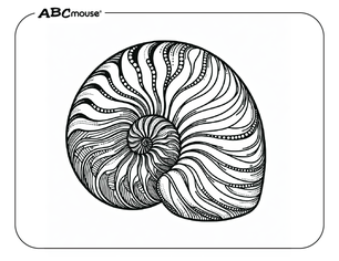 Free printable sea shell coloring page from ABCmouse.com. 