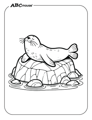 Seal on a rock free coloring page from ABCmouse.com.