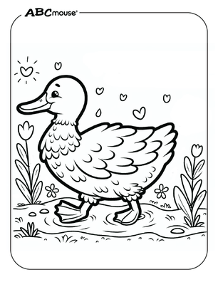 Free printable duck coloring page from ABCmouse.com. 