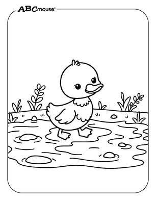 Free printable duck coloring page from ABCmouse.com. 