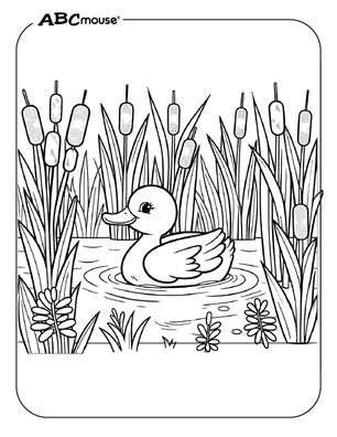 Free printable duck coloring page from ABCmouse.com. 