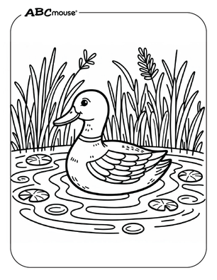 Free printable duck coloring page from ABCmouse.com. 