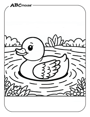 Free printable duck coloring page from ABCmouse.com. 