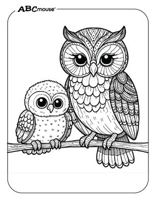 Free printable owl coloring page from ABCmoue.com. 