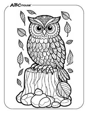 Free printable owl coloring page from ABCmoue.com. 