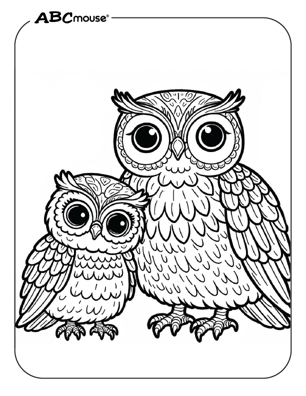 Free printable owl coloring page from ABCmoue.com. 