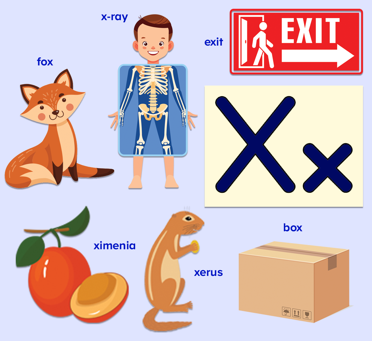 Free words that start with the letter x printable list for kids from ABCmouse.com.