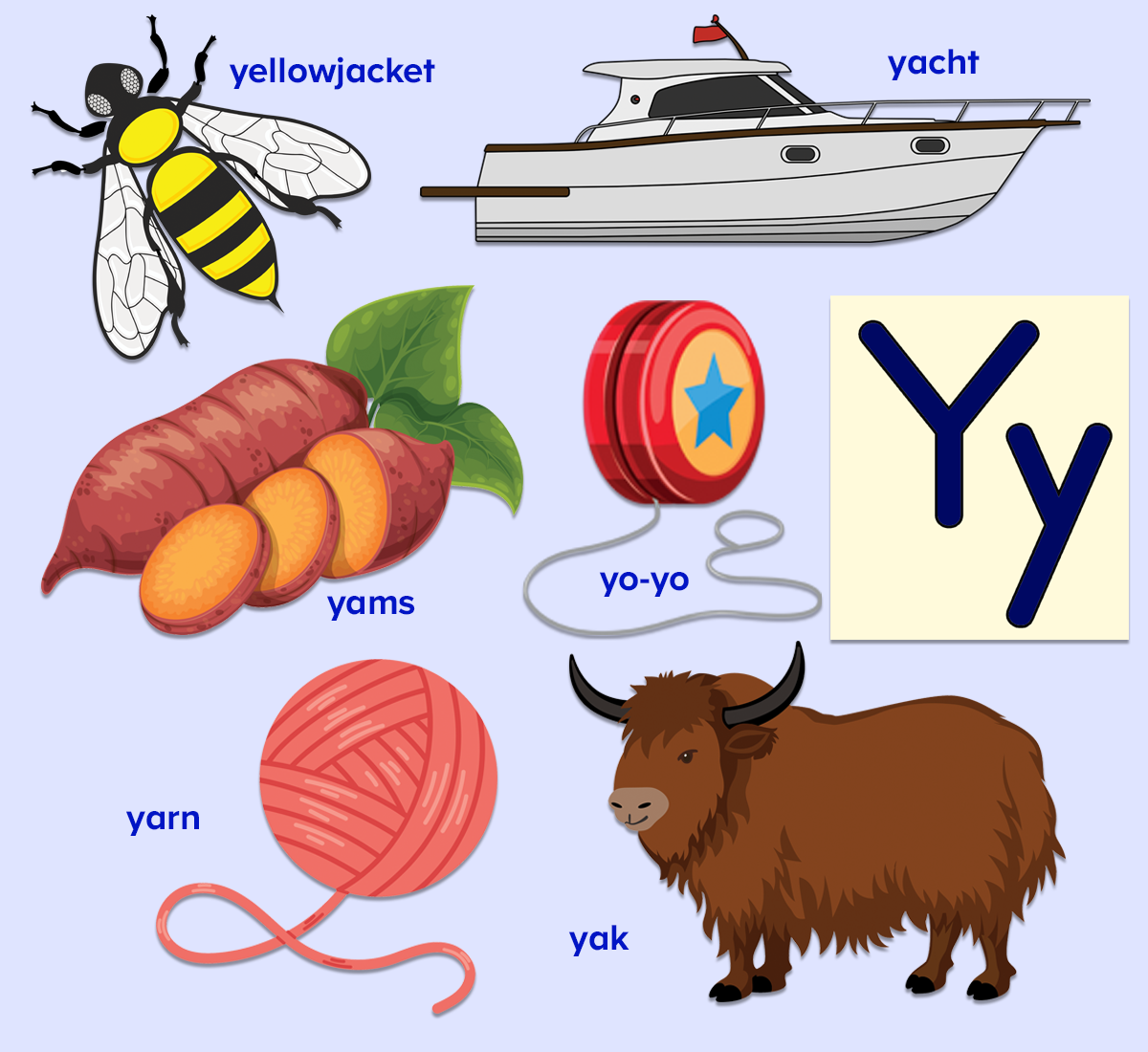 Words that start with the letter y colorful picture, including yellow jacket, yacht, yams, yo-yo, yak, and yarn. 