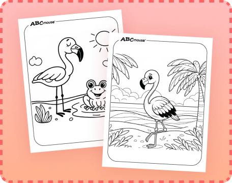 Free printable Flamingo coloring pages from ABCmouse.com. 