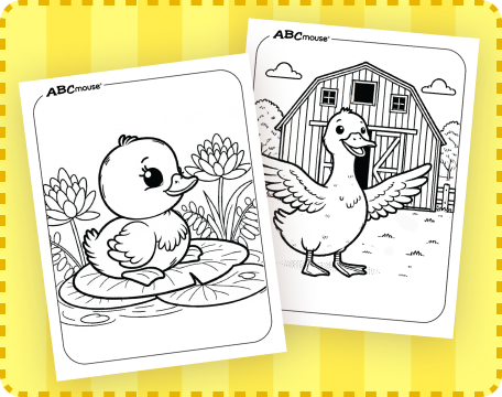 Free printable duck coloring pages from ABCmouse.com. 