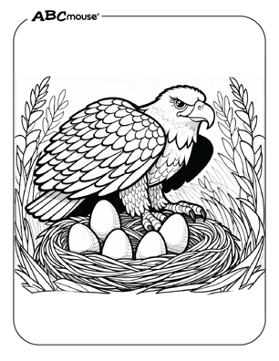 Free printable eagle coloring page from ABCmouse.com. 