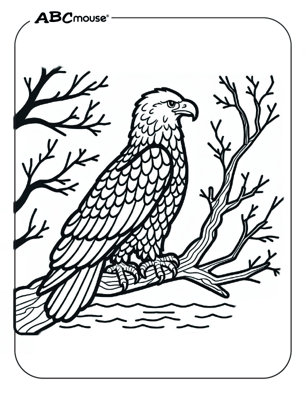 Free printable eagle coloring page from ABCmouse.com. 