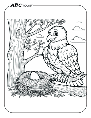 Free printable eagle coloring page from ABCmouse.com. 