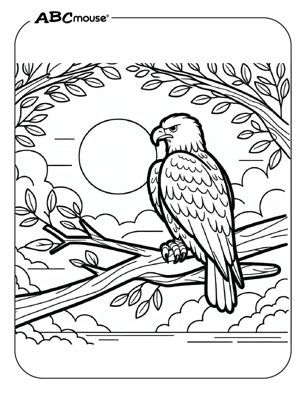 Free printable eagle coloring page from ABCmouse.com. 