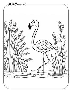 Cute flamingo coloring page from ABCmouse.com. 