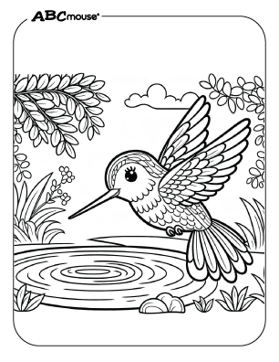 Free printable hummingbird coloring page from ABCmouse.com. 