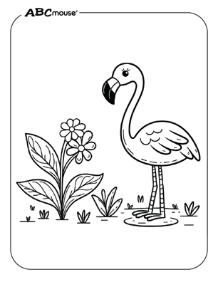 Cute flamingo coloring page from ABCmouse.com. 