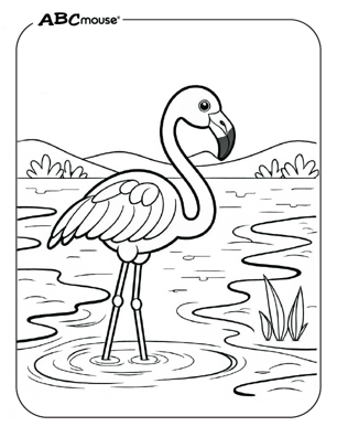 Cute flamingo in the water coloring page from ABCmouse.com. 