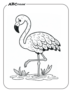 Cute flamingo coloring page from ABCmouse.com. 