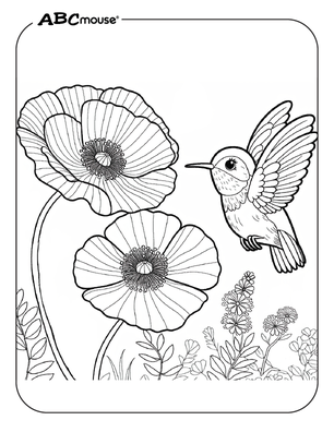 Free printable hummingbird coloring page from ABCmouse.com. 