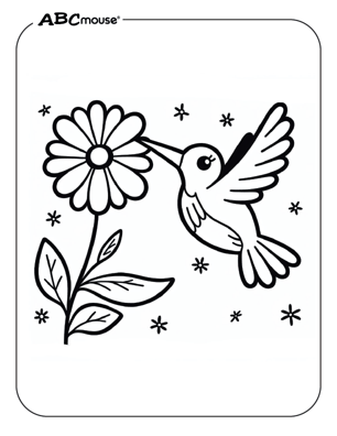 Free printable hummingbird coloring page from ABCmouse.com. 