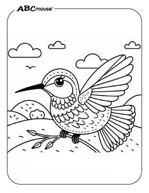 Free printable hummingbird coloring page from ABCmouse.com. 