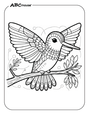 Free printable hummingbird coloring page from ABCmouse.com. 