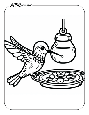 Free printable hummingbird coloring page from ABCmouse.com. 