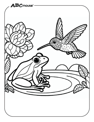 Free printable hummingbird coloring page from ABCmouse.com. 