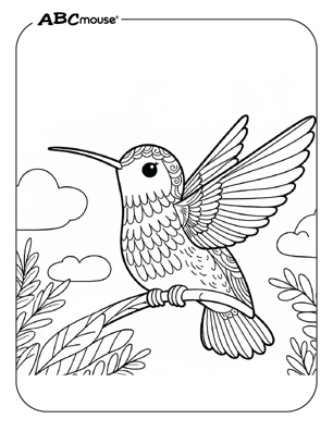 Free printable hummingbird coloring page from ABCmouse.com. 