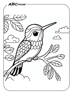 Free printable hummingbird coloring page from ABCmouse.com. 